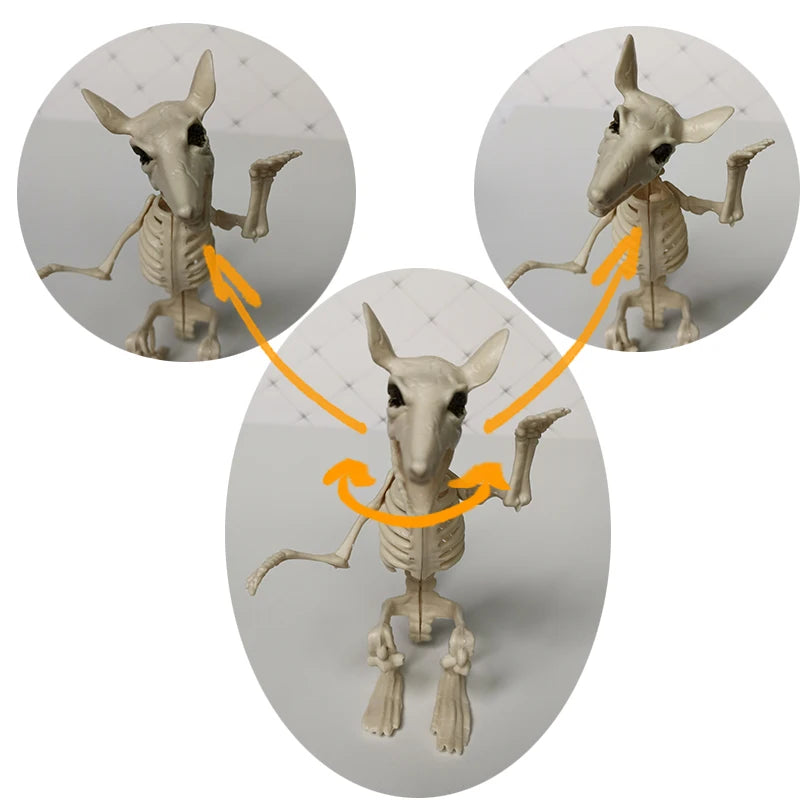 Halloween Animal Skeleton Bones – Bat, Mouse, Crow Horror Decorations for Party and Haunted House