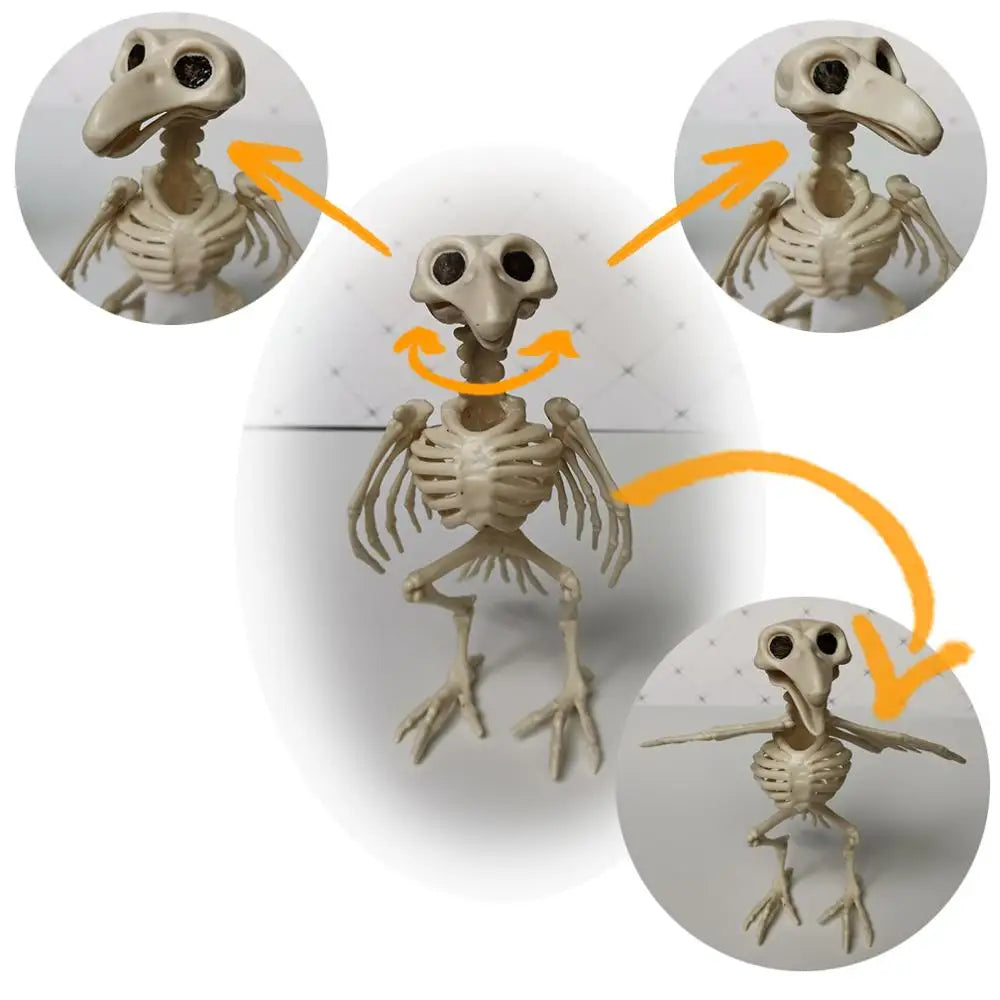 Halloween Animal Skeleton Bones – Bat, Mouse, Crow Horror Decorations for Party and Haunted House