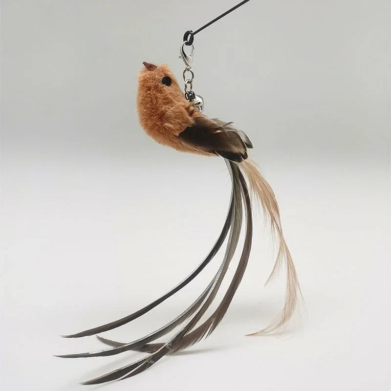 Natural Feather Cat Teaser Replacement Head – Bite-Resistant Toy with Bells