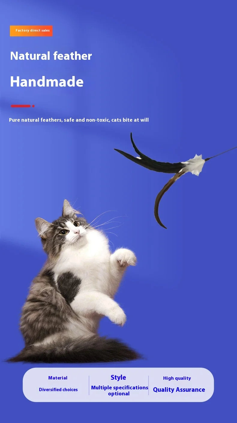 Natural Feather Cat Teaser Replacement Head – Bite-Resistant Toy with Bells