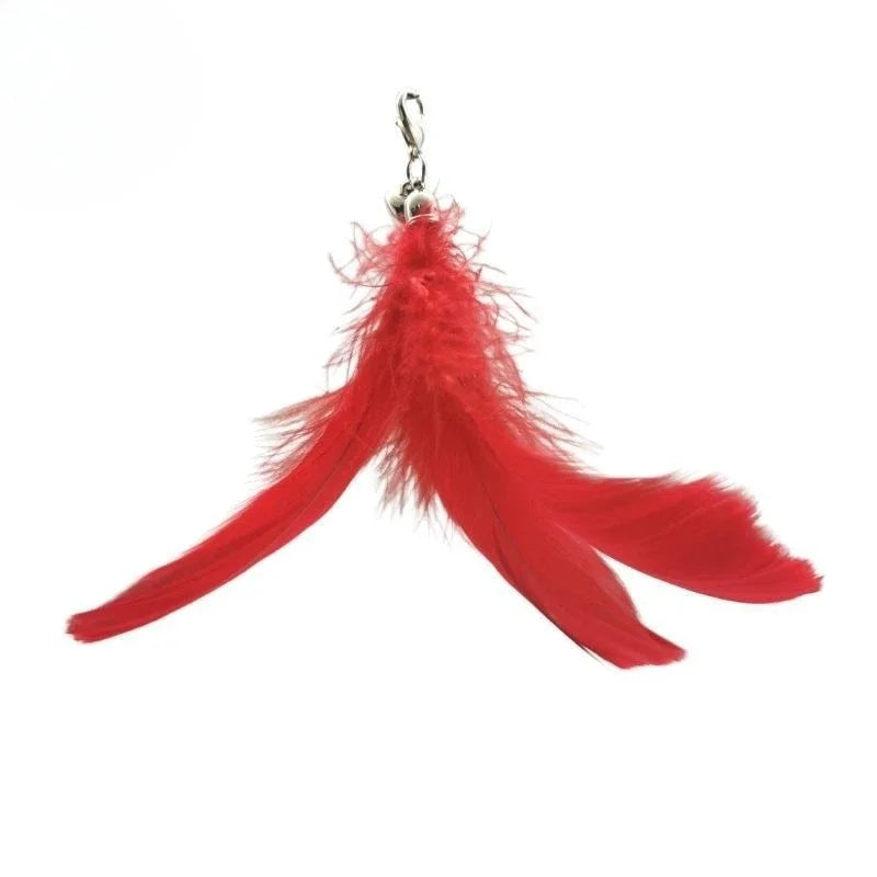 Natural Feather Cat Teaser Replacement Head – Bite-Resistant Toy with Bells