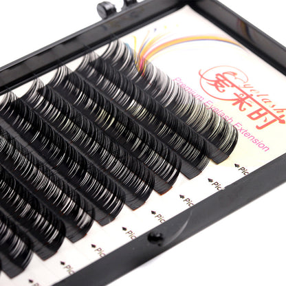 Korean Silk Volume Lash Extensions – B/C/D Curl, Multiple Thickness Options