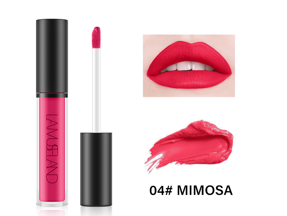 Durable Waterproof Non-Stick Cup Liquid Lip Gloss – 12 Colors