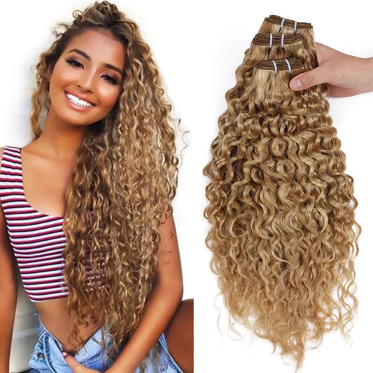 Real Beauty Ombre Peruvian Water Wave Human Hair Extensions – Two-Tone P27/613, 100% Remy, 12"-26