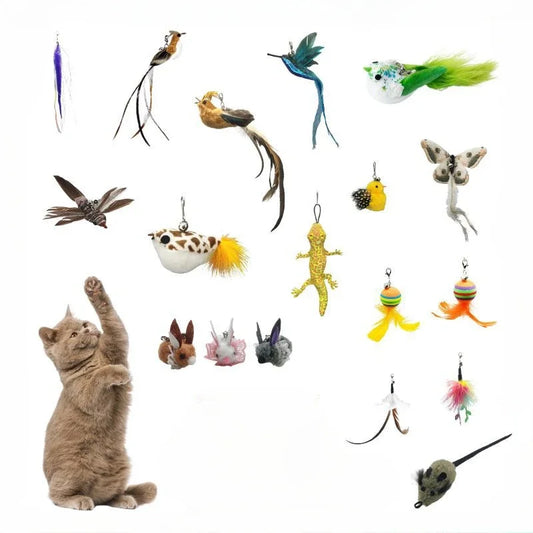Natural Feather Cat Teaser Replacement Head – Bite-Resistant Toy with Bells