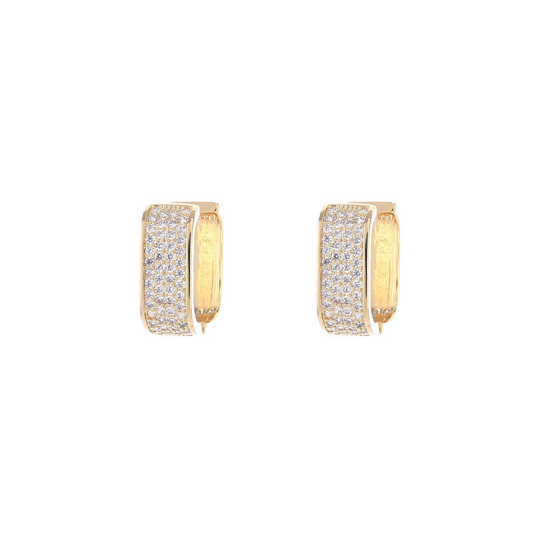 Light Luxury Micro-Encrusted Zircon Earrings for Women – Elegant, Simple & Fashionable Jewelry