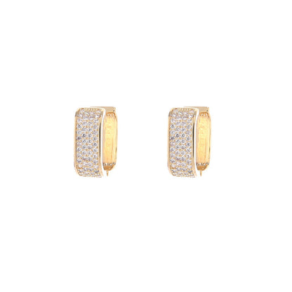 Light Luxury Micro-Encrusted Zircon Earrings for Women – Elegant, Simple & Fashionable Jewelry